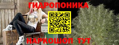 spice Берёзовский