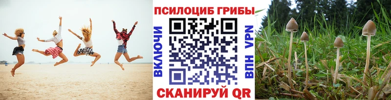darknet наркотические препараты  закладки  Бугуруслан  Псилоцибиновые грибы GOLDEN TEACHER 